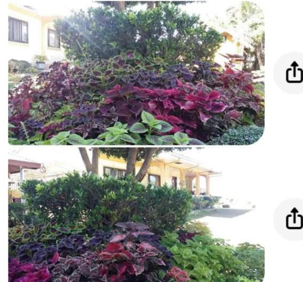 Sea Breeze Beachfront Home And Cottages San Juan (La Union) Exterior foto